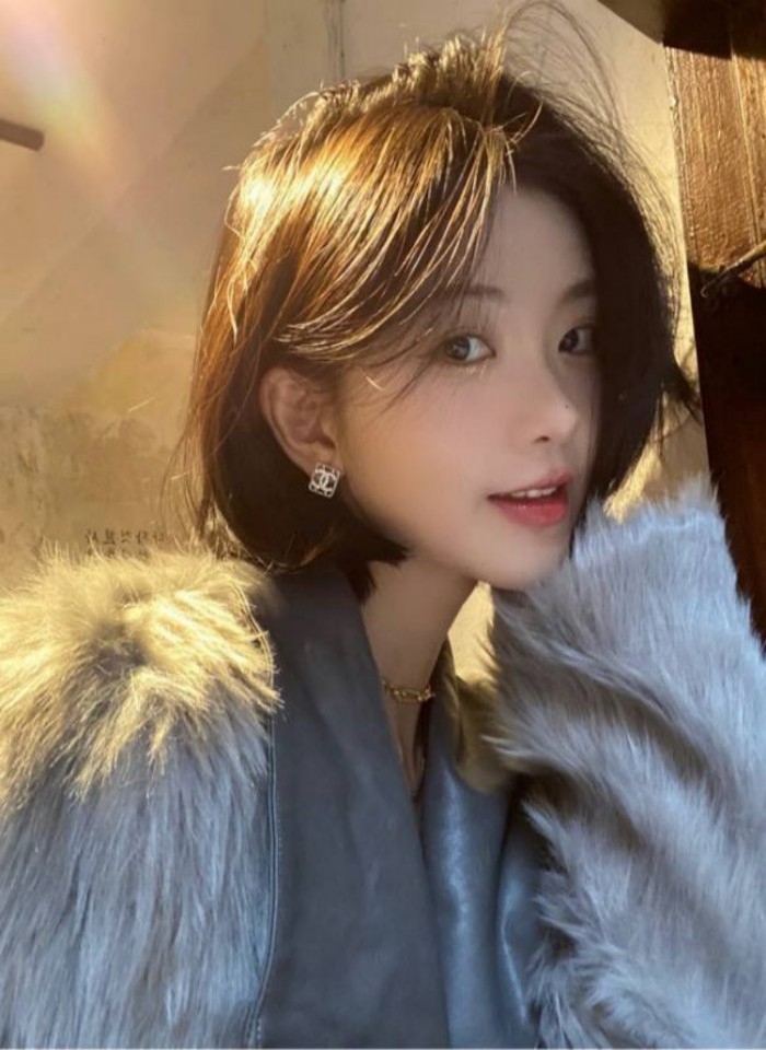 成全观看免费完整观看,午夜电影网