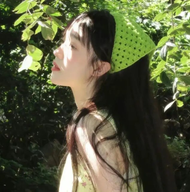 九域之天眼崛起
